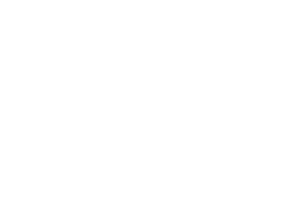 Avapro Building Maintenance Group Inc.